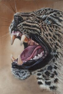 358 KIM - Leopard 29 x 20 cm Pastel_1