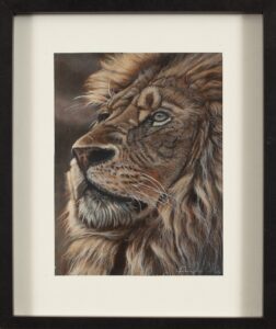 359 KIM - Lion 29 x 20 cm Pastel