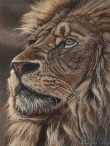 359 KIM - Lion 29 x 20 cm Pastel_1