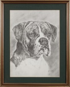 397 K WACKER - Boxer 53 x 39 cm Pencil