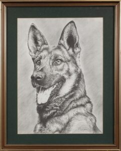 398 K WACKER - Alsatian 53 x 39 cm Pencil