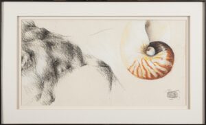 408 UNKNOWN - Nude and sea shell 64 x33 cm Mixed medium