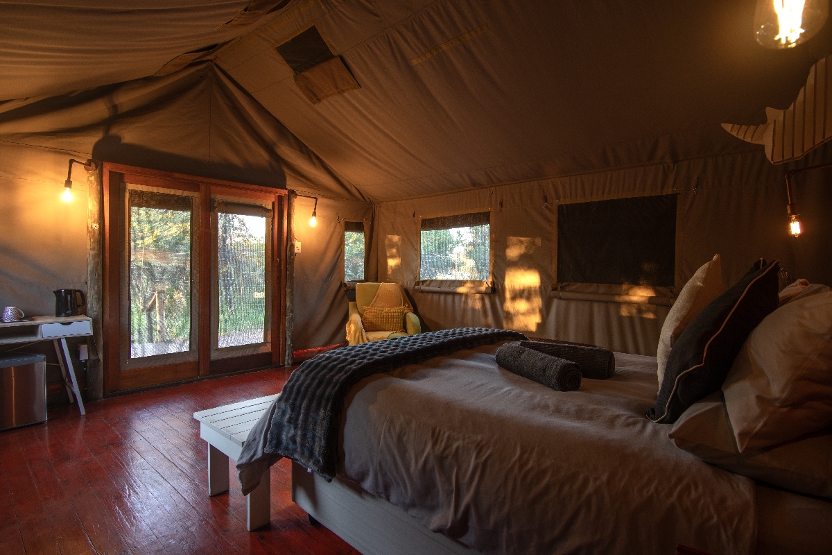 Big 5 Safari lodge camping Dinokeng Big 5 Safari lodge camping Dinokeng