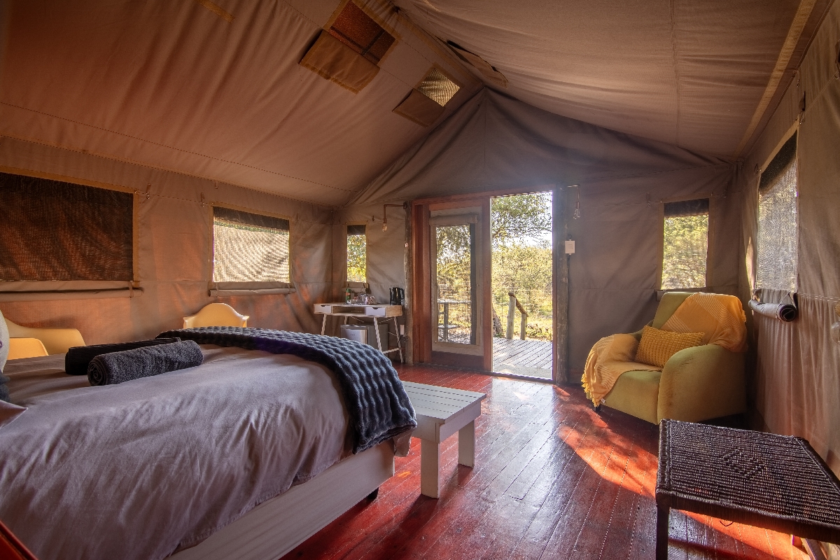 Bushveld accommodation Dinokeng glamping Bushveld accommodation Dinokeng glamping