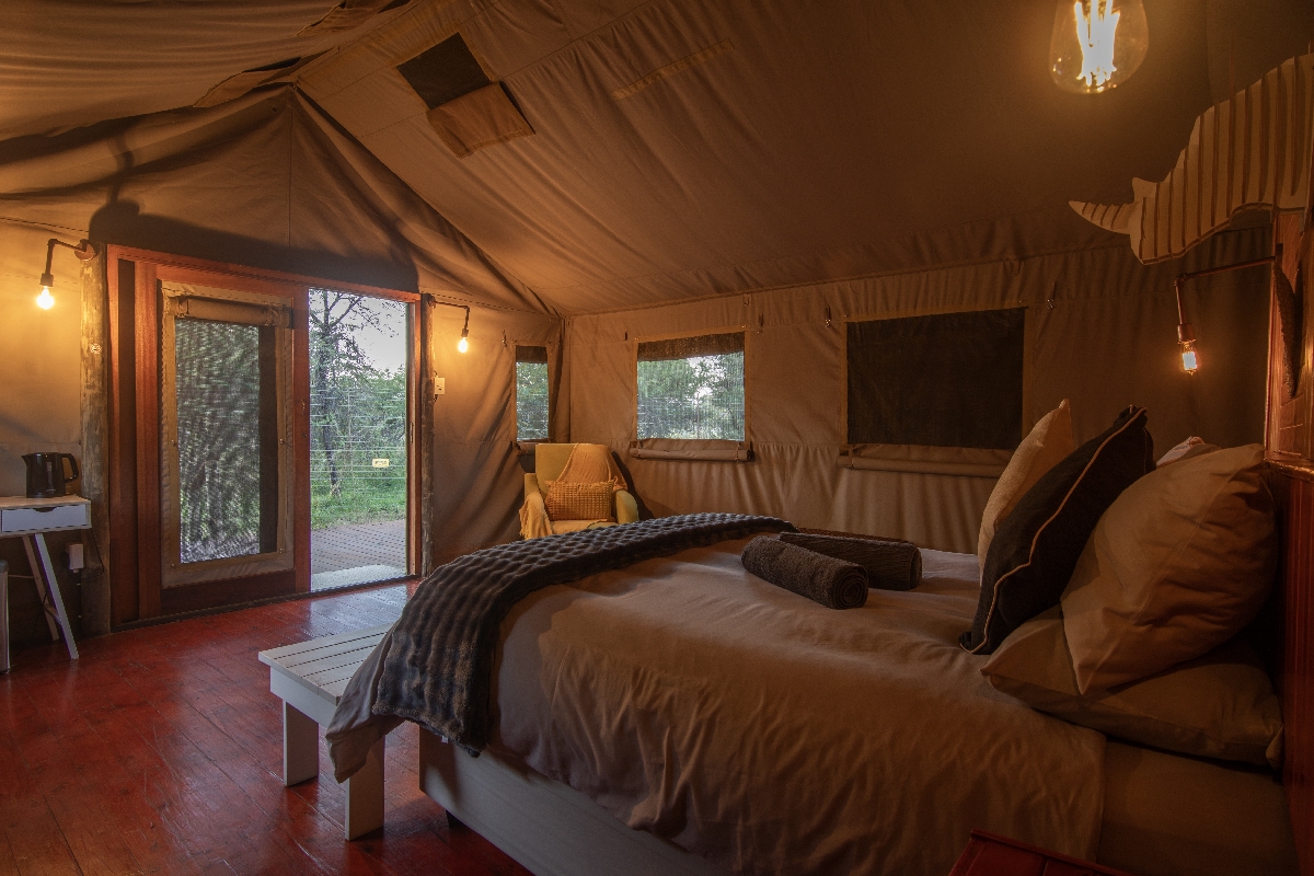 Dinokeng glamping Ngata Safari accommodation Dinokeng glamping Ngata Safari accommodation