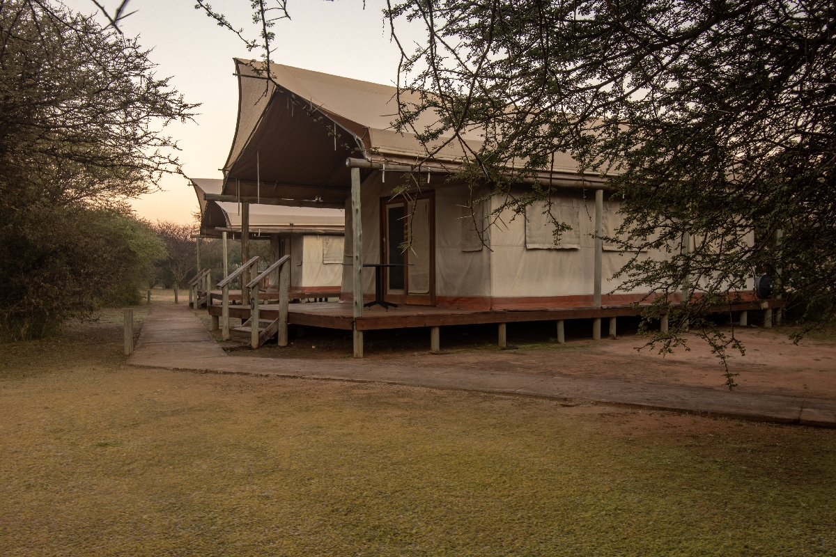 Glamping tent Dinokeng Ngata Safari Lodge Glamping tent Dinokeng Ngata Safari Lodge