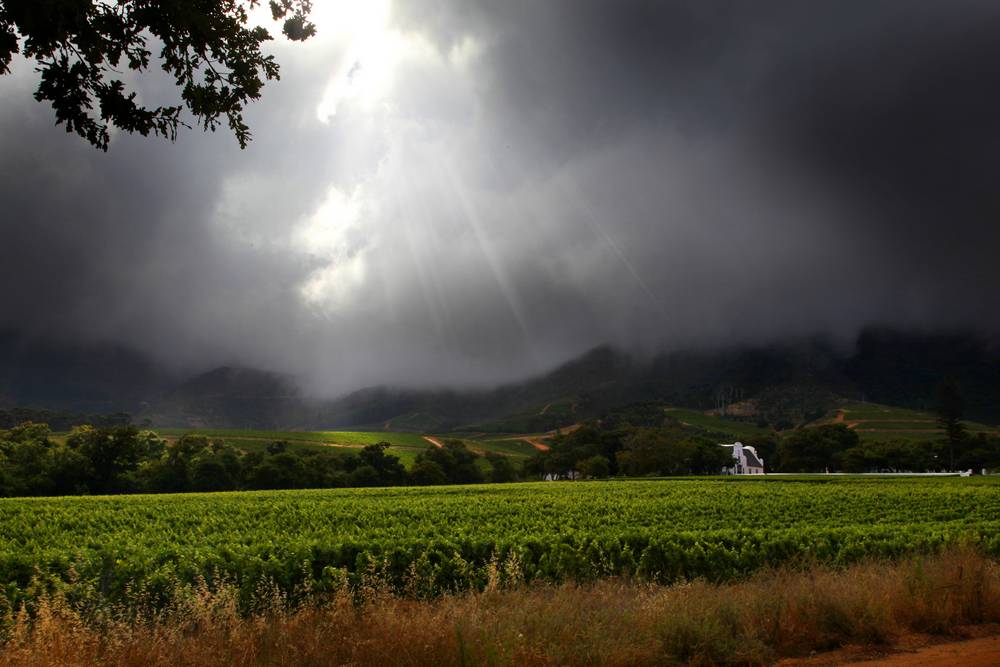 Groot Constantia Cape_travel photography
