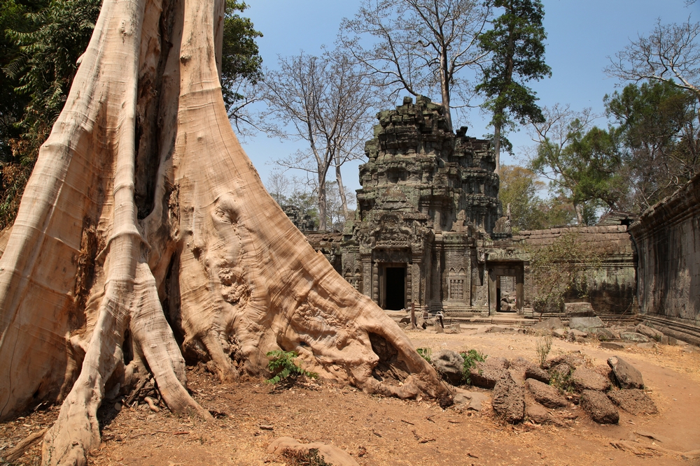 Ankor Watt Cambodia | ProSelect-images