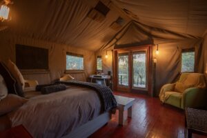 Luxury tent room Ngata Safari Lodge Dinokeng Luxury tent room Ngata Safari Lodge Dinokeng