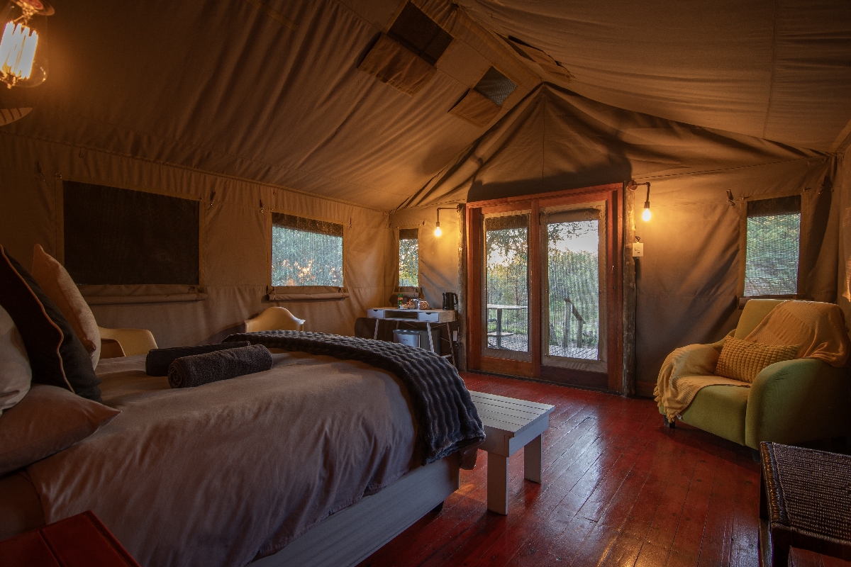 Luxury tent room Ngata Safari Lodge Dinokeng Luxury tent room Ngata Safari Lodge Dinokeng
