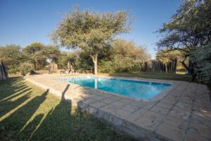 Ngata Safari Lodge swimming pool Ngata Safari Lodge swimming pool