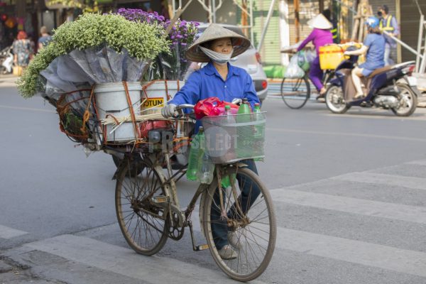 Vendor selling flowers Vietnam