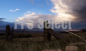 Closed farm gate OFS | ProSelect-images