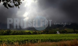 Constantia Wine Estate storm | ProSelect-images