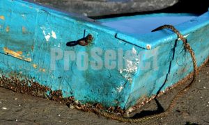 Fishing boat Knysna | ProSelect-images