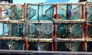 Lobster traps Hout Bay | ProSelect-images