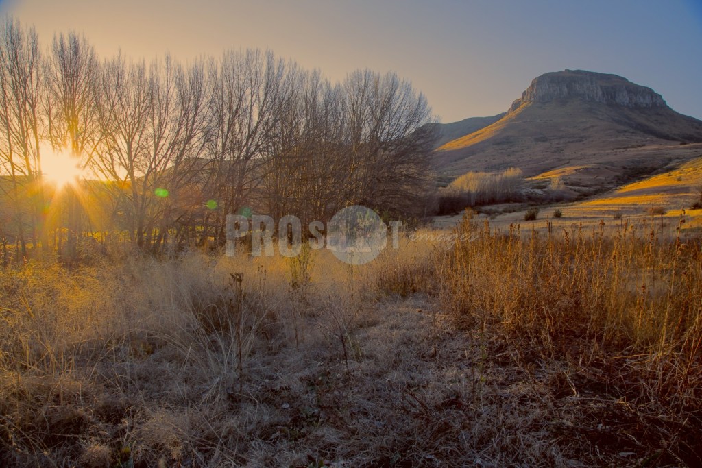 Steepside guest farm | ProSelect-images