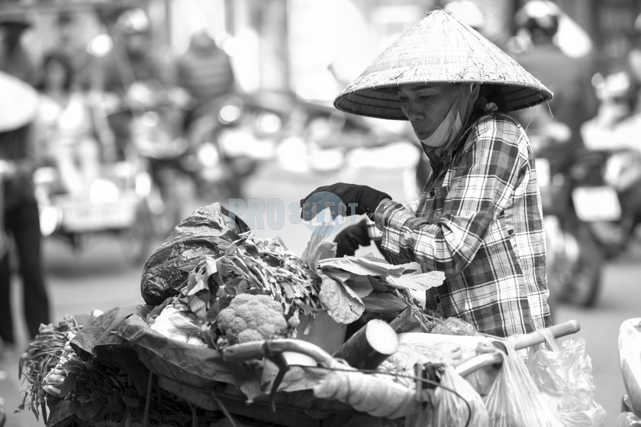 Street vendor Hanoi selling fresh produce | ProSelect-images