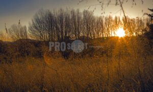 Sunset Steepside Barkley East | ProSelect-images