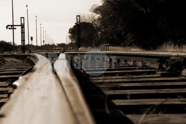 TransNamib Railway | ProSelect-images