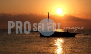 Vilanculo dhow silhouette | ProSelect-images